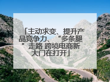 主动求变、提升产品竞争力、“多条腿”走路 跨境电商新大门在打开