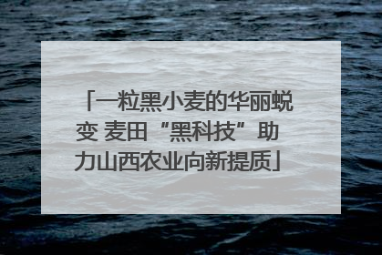一粒黑小麦的华丽蜕变 麦田“黑科技”助力山西农业向新提质