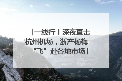 一线行丨深夜直击杭州机场，浙产杨梅“飞”赴各地市场