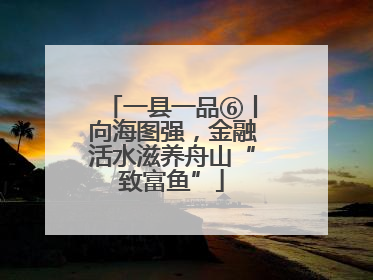 一县一品⑥丨向海图强，金融活水滋养舟山“致富鱼”