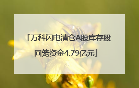 万科闪电清仓A股库存股 回笼资金4.79亿元