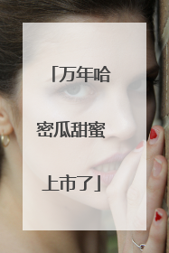 万年哈密瓜甜蜜上市了