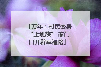 万年：村民变身“上班族” 家门口开辟幸福路
