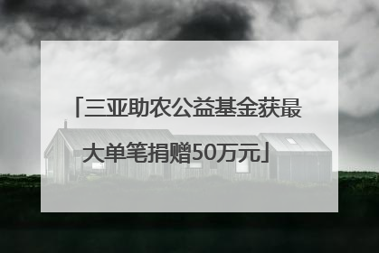 三亚助农公益基金获最大单笔捐赠50万元