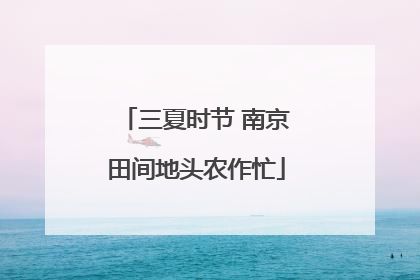 三夏时节 南京田间地头农作忙