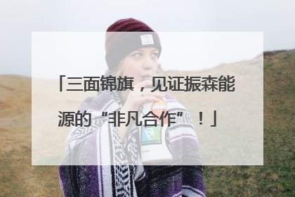 三面锦旗，见证振森能源的“非凡合作”！