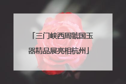三门峡西周虢国玉器精品展亮相杭州