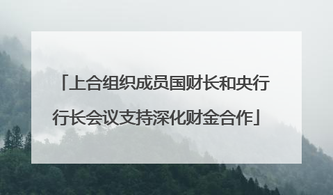 上合组织成员国财长和央行行长会议支持深化财金合作