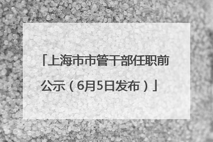 上海市市管干部任职前公示（6月5日发布）