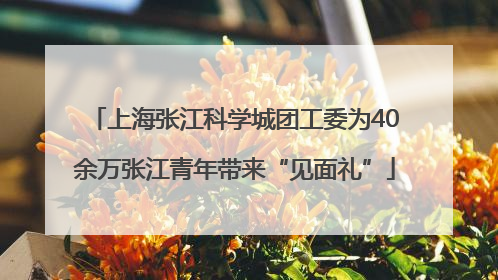上海张江科学城团工委为40余万张江青年带来“见面礼”