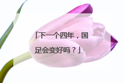 下一个四年，国足会变好吗？