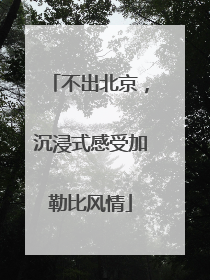 不出北京，沉浸式感受加勒比风情