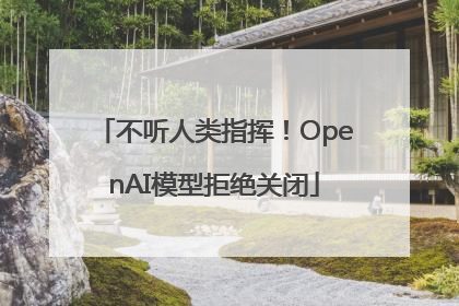 不听人类指挥！OpenAI模型拒绝关闭