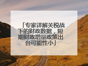 专家详解关税战下的财政数据，短期财政增量政策出台可能性小