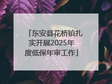 东安县花桥镇扎实开展2025年度低保年审工作