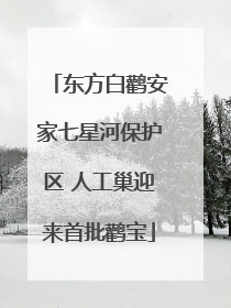 东方白鹳安家七星河保护区 人工巢迎来首批鹳宝