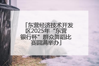 东营经济技术开发区2025年“东营银行杯”群众舞蹈比赛圆满举办