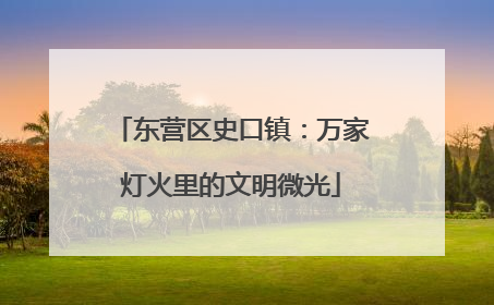 东营区史口镇：万家灯火里的文明微光