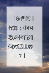 东西问丨代辉：中国恐龙化石如何对话世界？