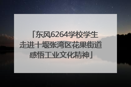 东风6264学校学生走进十堰张湾区花果街道感悟工业文化精神