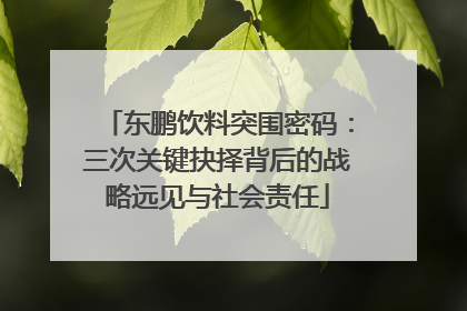 东鹏饮料突围密码：三次关键抉择背后的战略远见与社会责任