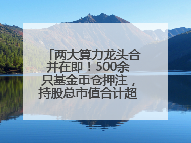 两大算力龙头合并在即！500余只基金重仓押注，持股总市值合计超380亿元