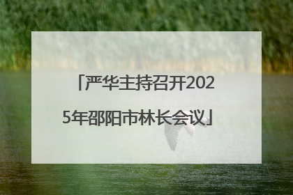 严华主持召开2025年邵阳市林长会议