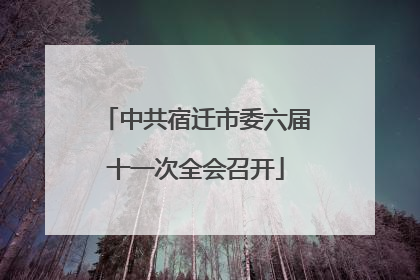 中共宿迁市委六届十一次全会召开