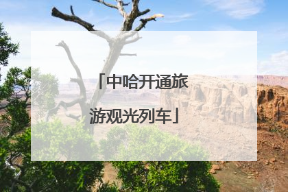 中哈开通旅游观光列车