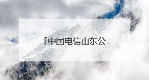 中国电信山东公司：筑牢数字新基建基座 引领万兆光网新时代