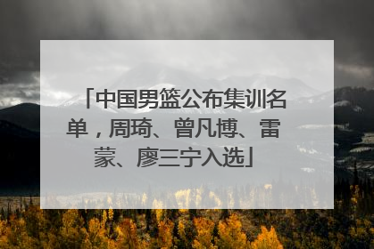 中国男篮公布集训名单，周琦、曾凡博、雷蒙、廖三宁入选