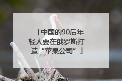 中国的90后年轻人要在俄罗斯打造“苹果公司”
