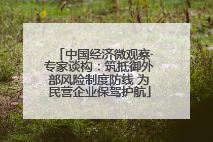 中国经济微观察·专家谈构：筑抵御外部风险制度防线 为民营企业保驾护航