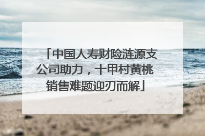 中国人寿财险涟源支公司助力，十甲村黄桃销售难题迎刃而解