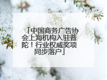 中国商务广告协会上海机构入驻普陀！行业权威奖项同步落户