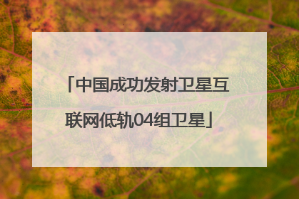 中国成功发射卫星互联网低轨04组卫星