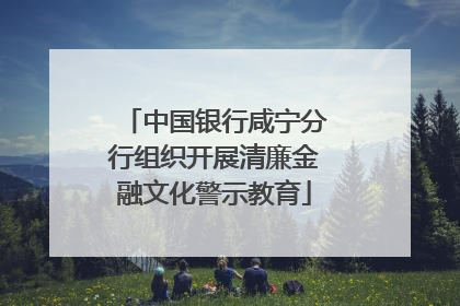 中国银行咸宁分行组织开展清廉金融文化警示教育