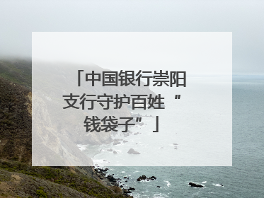 中国银行崇阳支行守护百姓“钱袋子”