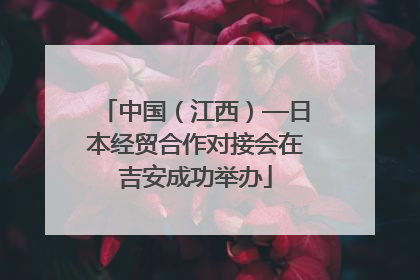 中国（江西）—日本经贸合作对接会在吉安成功举办