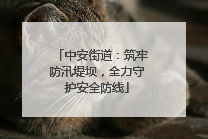 中安街道：筑牢防汛堤坝，全力守护安全防线