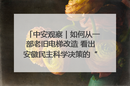 中安观察｜如何从一部老旧电梯改造 看出安徽民主科学决策的“高分秘诀”？