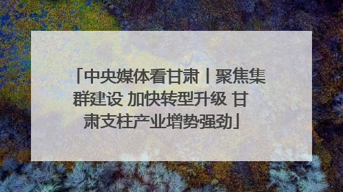 中央媒体看甘肃丨聚焦集群建设 加快转型升级 甘肃支柱产业增势强劲