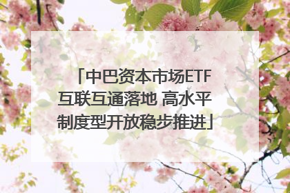 中巴资本市场ETF互联互通落地 高水平制度型开放稳步推进