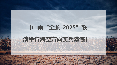 中柬“金龙-2025”联演举行海空方向实兵演练