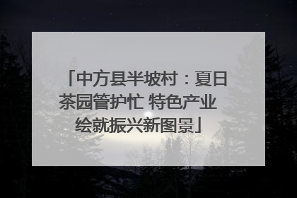 中方县半坡村：夏日茶园管护忙 特色产业绘就振兴新图景