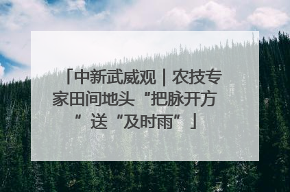 中新武威观｜农技专家田间地头“把脉开方”送“及时雨”