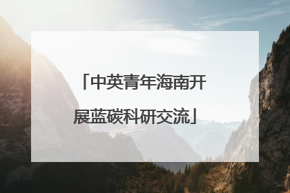 中英青年海南开展蓝碳科研交流
