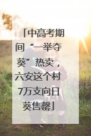 中高考期间“一举夺葵”热卖，六安这个村7万支向日葵售罄