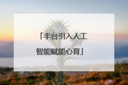 丰台引入人工智能赋能心育