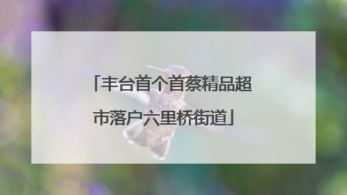 丰台首个首蔡精品超市落户六里桥街道